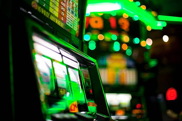 musang 288 featured game showcase musang 288 featured game showcase